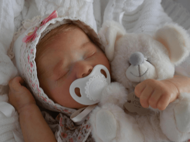 Reborn kit hudson